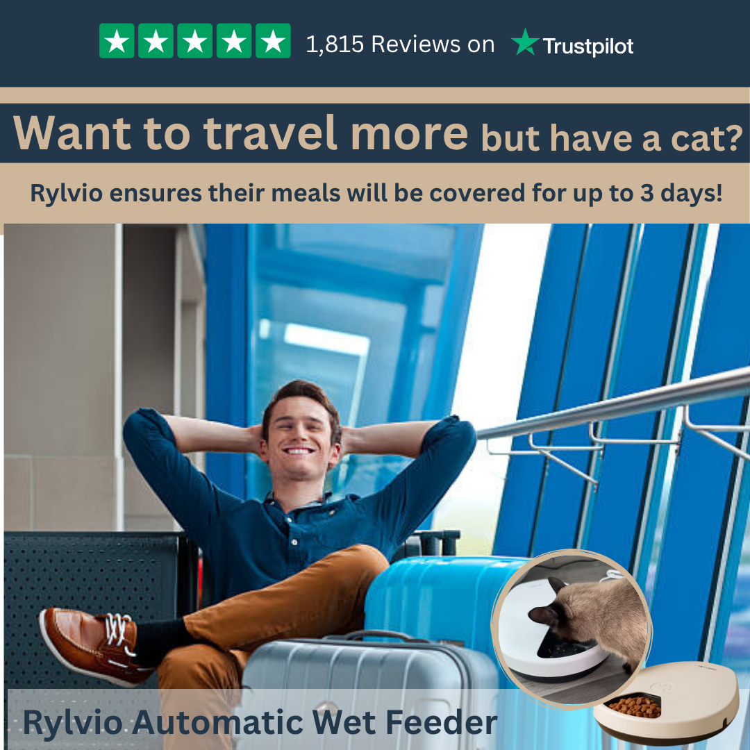 Rylvio Cat Feeder