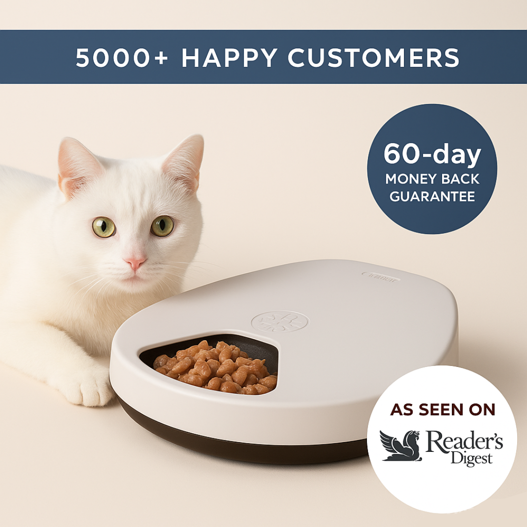 Rylvio Cat Feeder