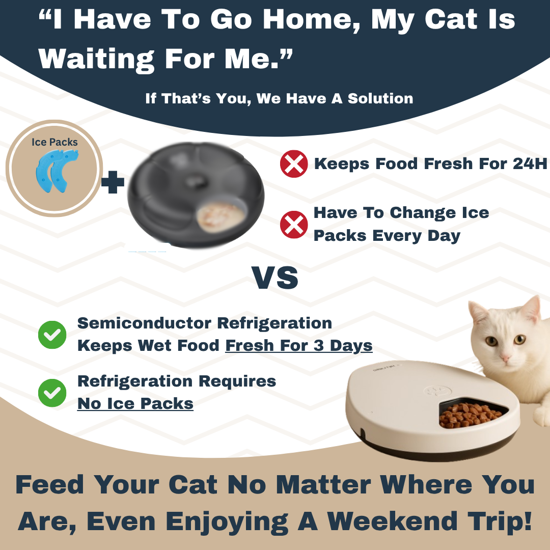 Rylvio Cat Feeder