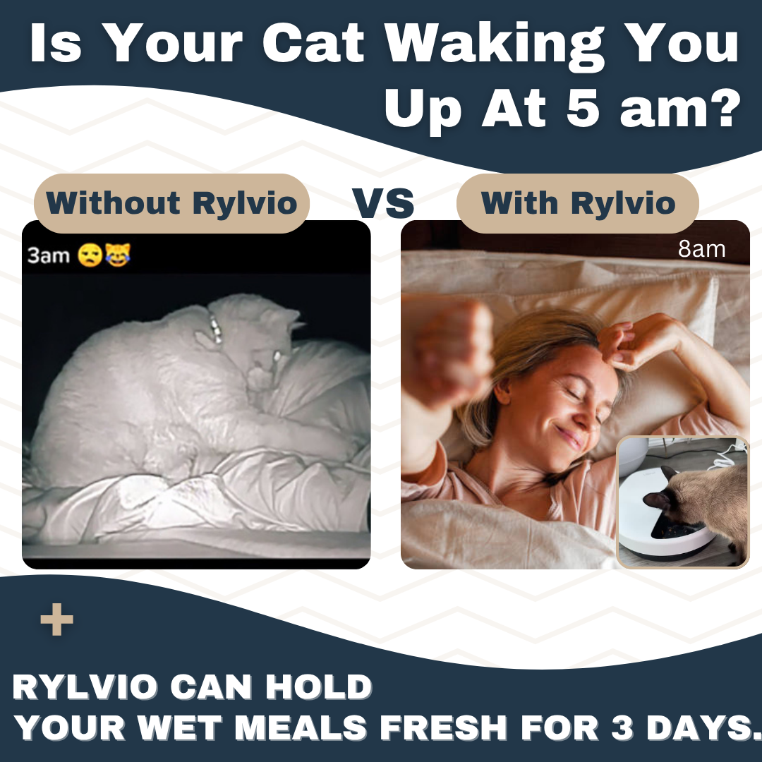 Rylvio Cat Feeder