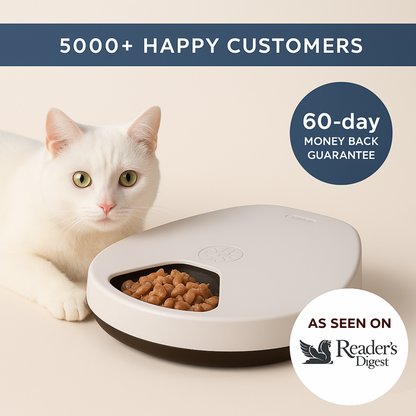 Rylvio Cat Feeder