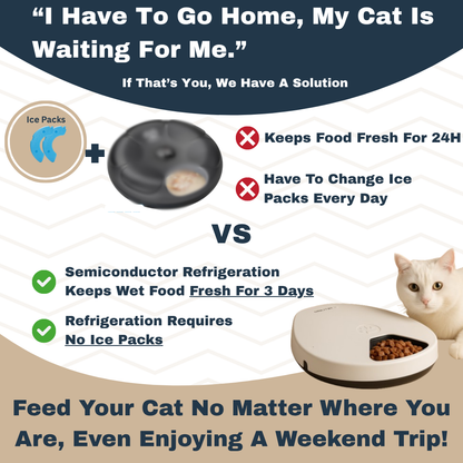 Rylvio Cat Feeder